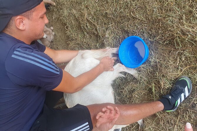Chania Area: Cooking Class at a Farm in Stylos Village (organic) - A quiet break with homemade lemonade and wide views