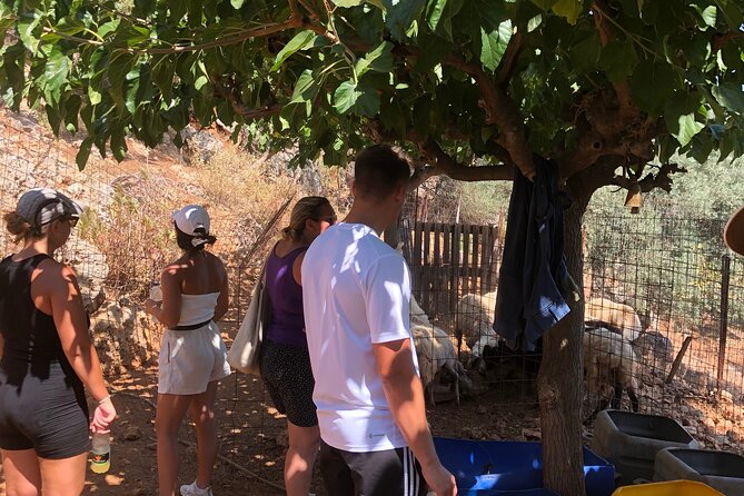 Chania Area: Cooking Class at a Farm in Stylos Village (organic) - Is $145.99 a fair price?
