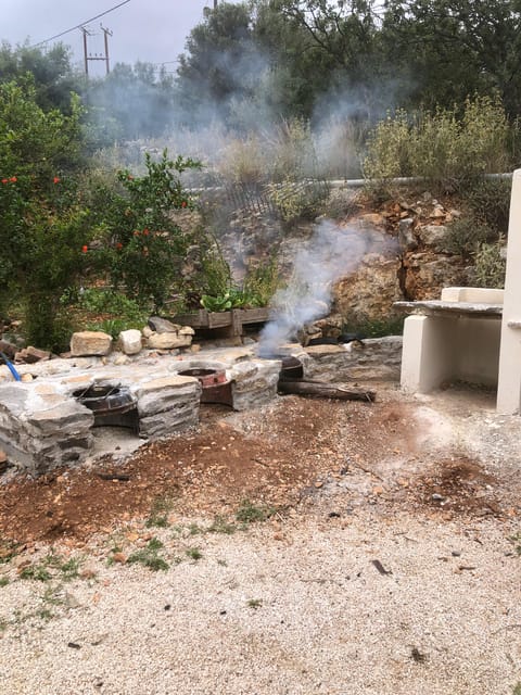 Chania Area: Cooking Class at a Farm in Stylos Village - Picking herbs and vegetables from the garden
