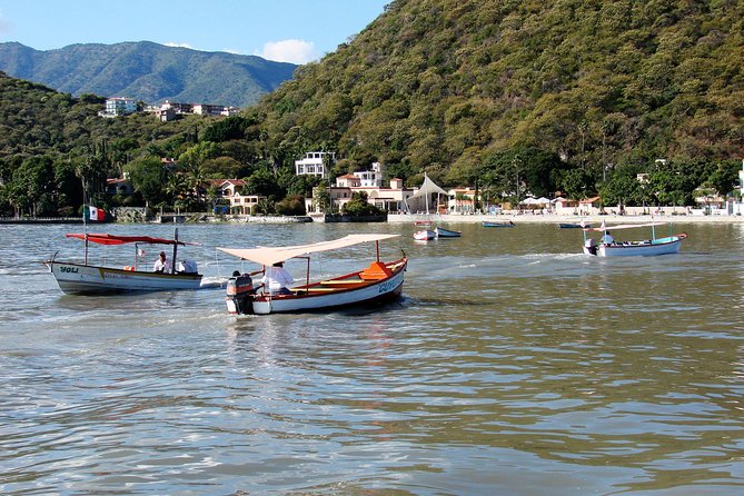 Chapala Lake & Ajijic Tour with "Tres Potrillos Ranch" - Should You Book the Chapala and Ajijic Tour?