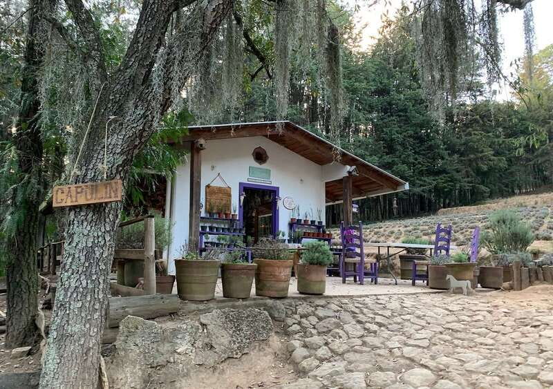 Chautla's Castle, Lavender Farm, and Valquirico Private Tour - Walking into Chautla’s lake and castle
