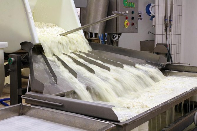 Cheesemaker for a day & visit to the dairy - From milk testing to Sardinian pecorino