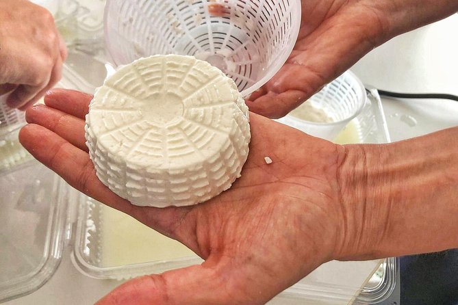 Cheesemaker for a day & visit to the dairy - Timing, location, and getting there