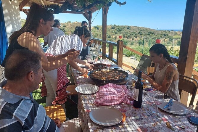 Chefcooking Paella from our Andalusian Grandmother at a Family Farm - The farm tour and the story behind the food