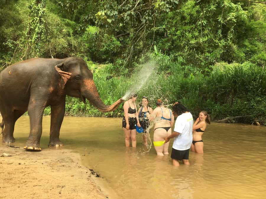 Chiang Mai: 2-Day Jungle Trek with Elephant Farm & Raft Ride - A two-day escape from Chiang Mai