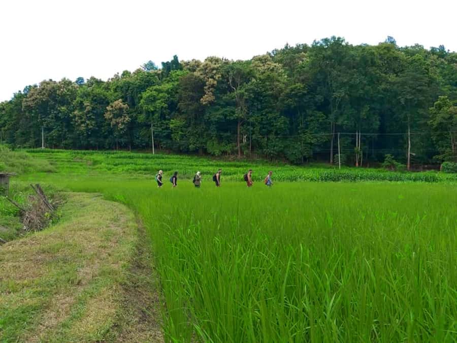 Chiang Mai: 2-Day Jungle Trek with Elephant Farm & Raft Ride - The climb to the Karen Hill Tribe village