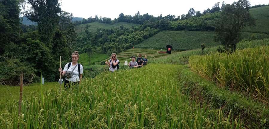 Chiang Mai: 2-Day Jungle Trek with Elephant Farm & Raft Ride - The local market starts the day