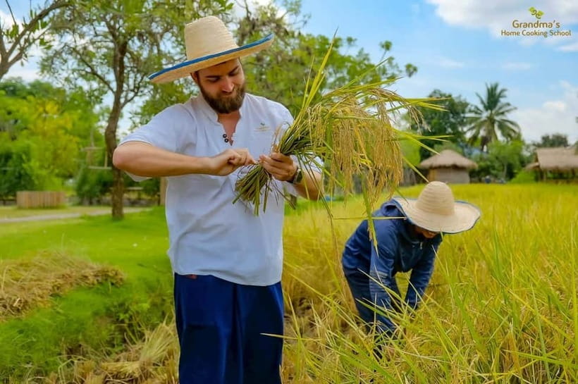 Chiang Mai: Authentic Cooking Class with Market & Farm Visit - What you actually eat