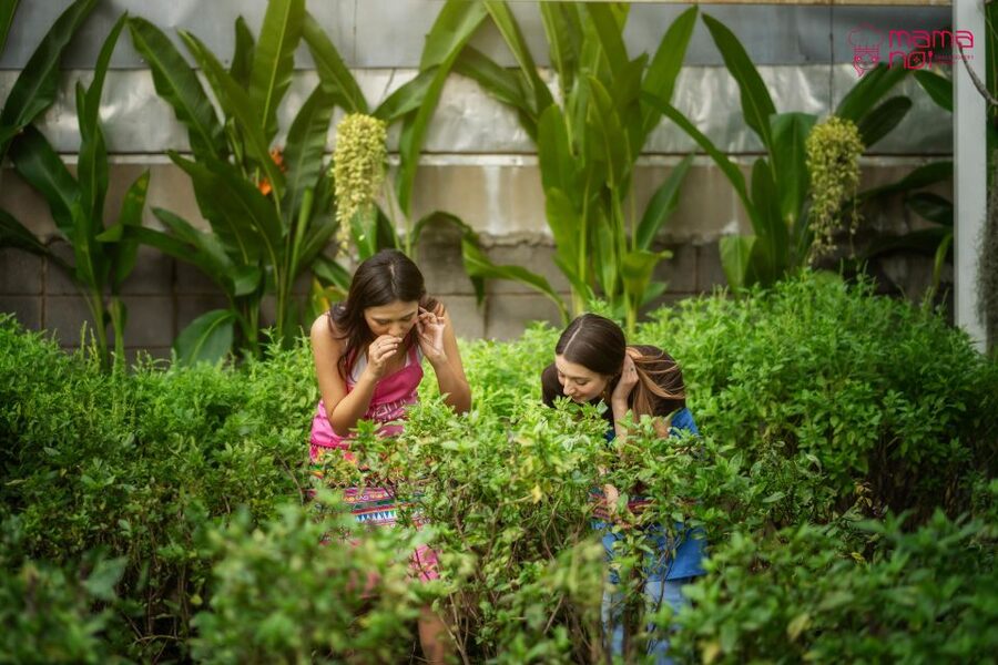Chiang Mai: Cooking Class with Organic Farm at Mama Noi - What you actually do at the cooking station