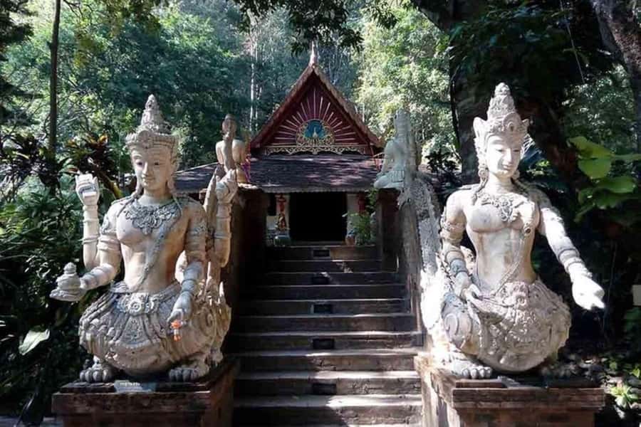 Chiang Mai: Doi Suthep, Orchid Farm and Waterfall with Lunch - Doi Suthep, Chiang Mai’s landmark temple