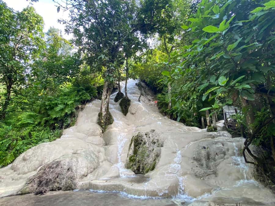 Chiang Mai: Doi Suthep, Orchid Farm and Waterfall with Lunch - Bai Orchid and Butterfly Farm for a slower hour