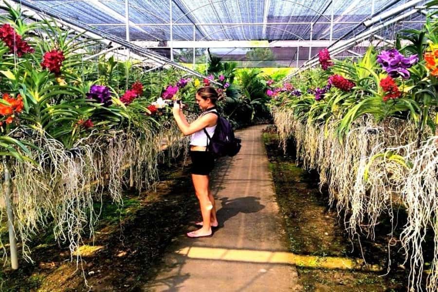 Chiang Mai: Doi Suthep, Orchid Farm and Waterfall with Lunch - What to pack and how to dress
