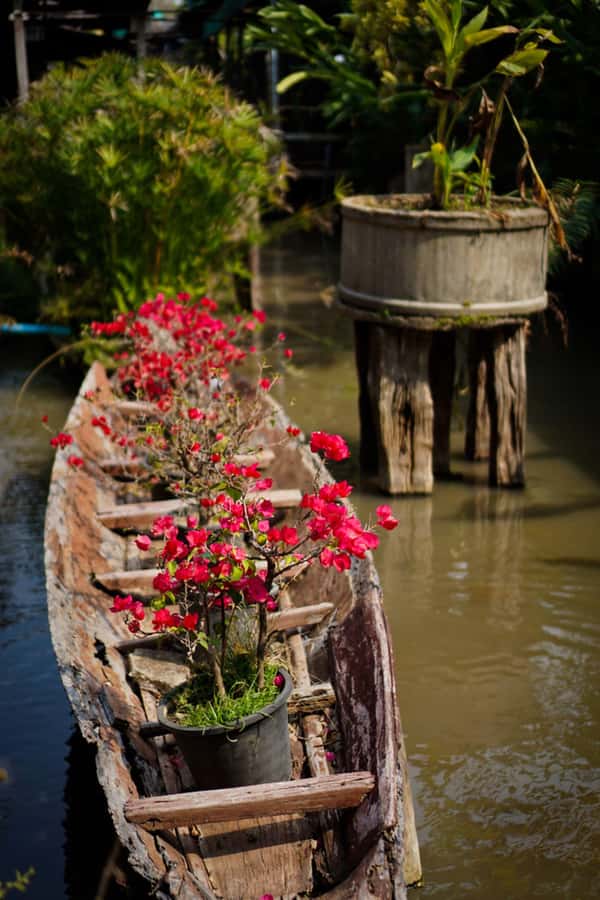 Chiang Mai: Doi Suthep, Orchid Farm and Waterfall with Lunch - Who should book this day