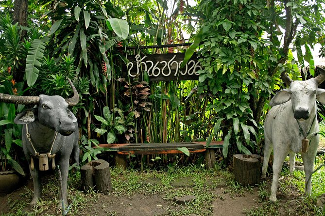 Chiang Mai Farm Life & Khao Soy Tasting on a Half-Day Boat Tour - Forty-five minutes on the Mae Ping River