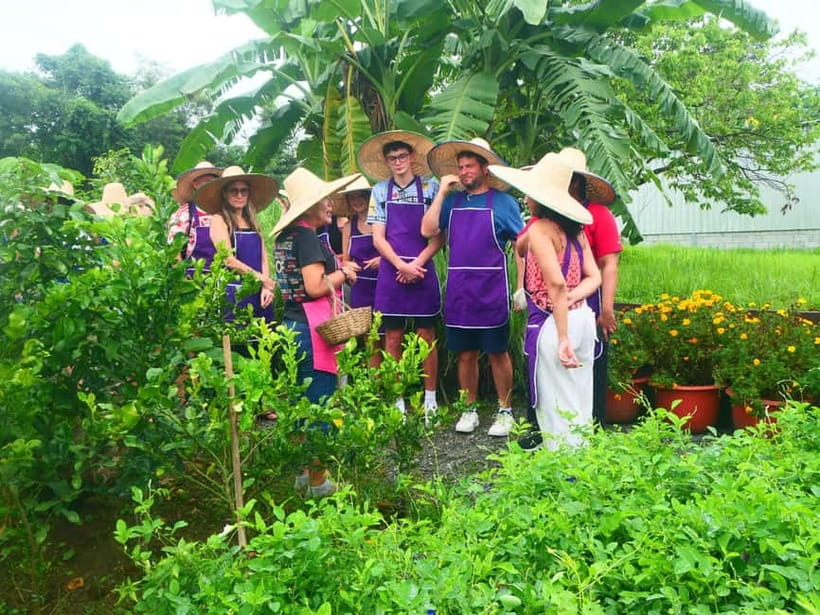 Chiang Mai: Full-Day Thai Cooking Experience at a Local Farm - Learning Thai Food Through Ingredients