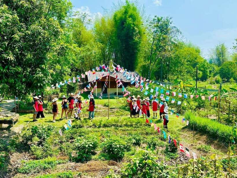 Chiang Mai: Half Day Cooking Class at Organic Farm - Why this class works for curious eaters