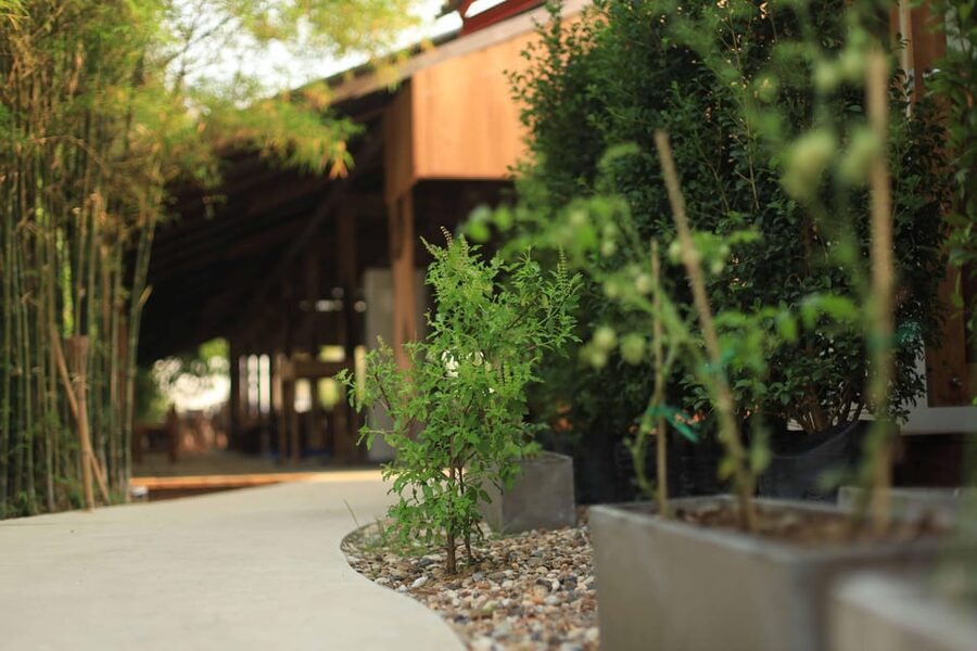 Chiang Mai: HALF-DAY COOKING COURSE at a Thai Cooking Farm - FAQ