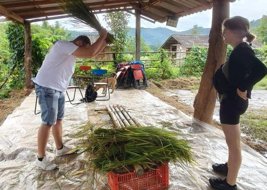 Chiang Mai: Half-Day Rice Farming Experience - From Chiang Mai to Mae Win by shared van