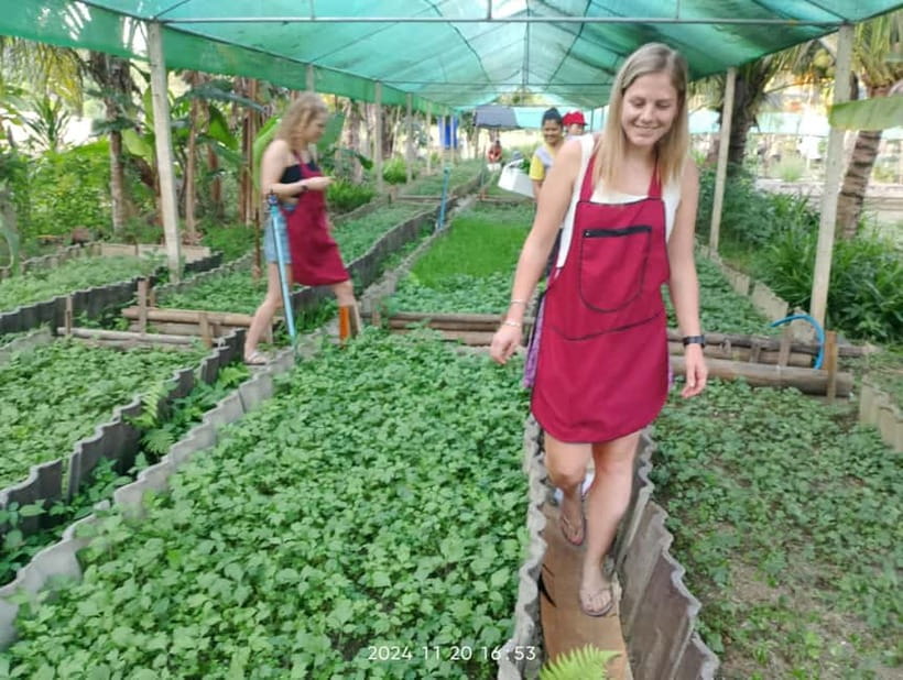 Chiang Rai:Lanna Home Cooking Class at Give Green Farm House - What you actually do at the cooking station