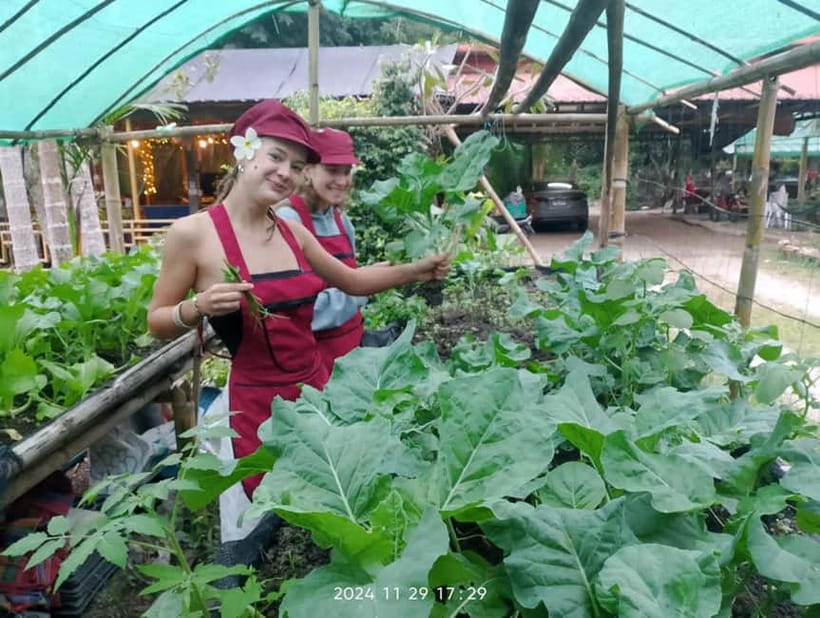 Chiang Rai:Lanna Home Cooking Class at Give Green Farm House - Is the $56 price good value?