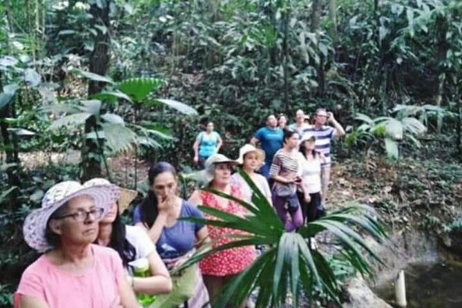 Chocolate and Coffee Tour Farm Don Jorge - A working farm, not a chocolate showroom