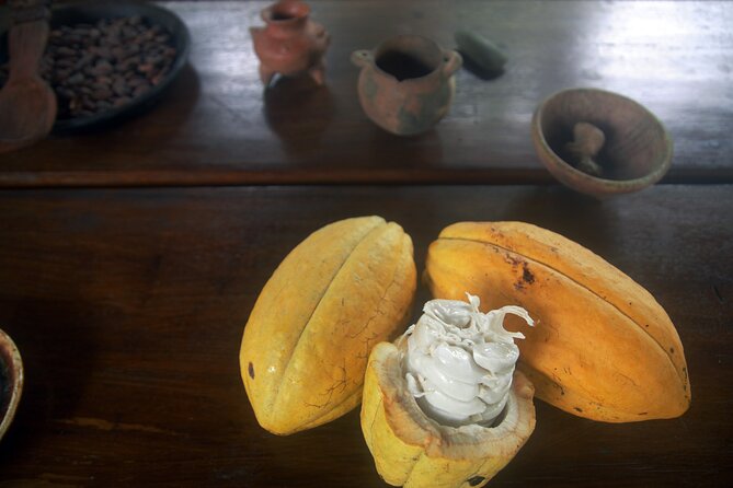 Chocolate and Farm Tour with local Tico family - Why this farm visit feels different from a standard chocolate tasting