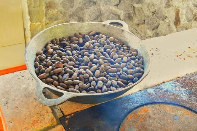 Chocolate and Farm Tour with local Tico family - What the two-hour length means for your day