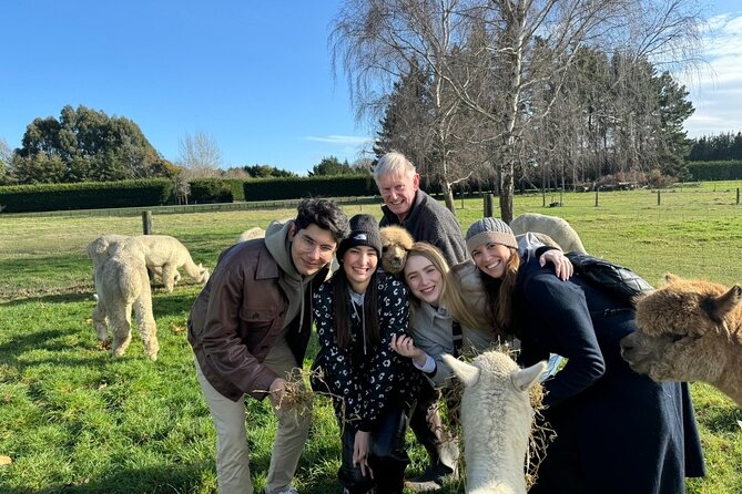 Christchurch Alpaca Farm Tour From Kaiapoi - Why the One-Hour Length Can Work