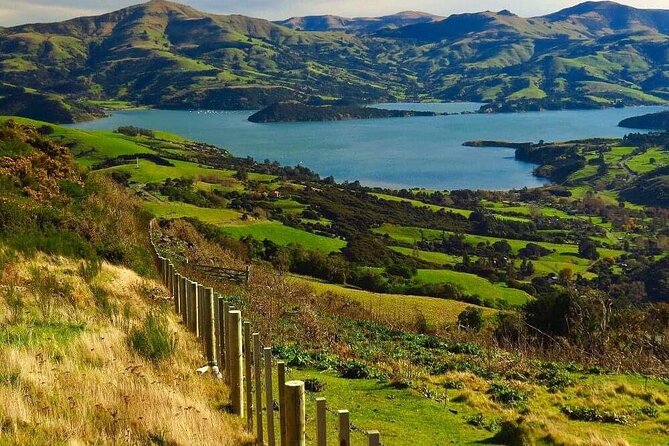 Christchurch Sheep Farm Visit - Who will enjoy this farm visit?