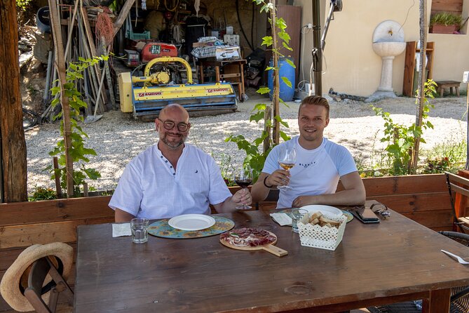 Cinta Senese tour with tasting dinner on the farm - Walking through vineyards and olive groves