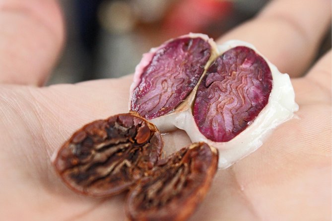 Cocoa farm and Chocolate making! - Walking among the cacao trees