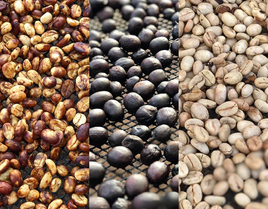 Coffee Farm and Salento Walking Tour - Pickup points and the value of a private group