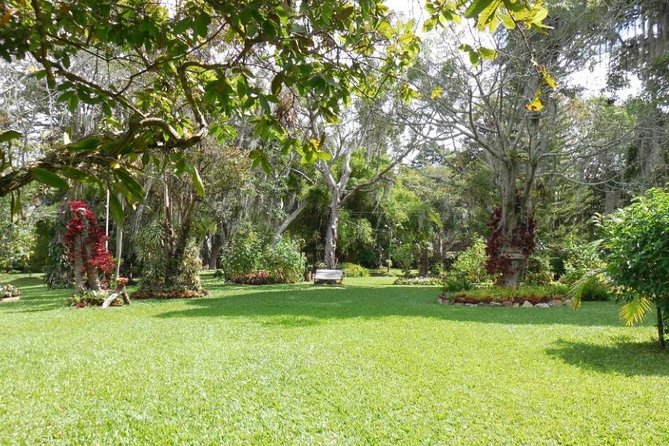 Coffee Farm Experience Private Day Tour - What private touring changes