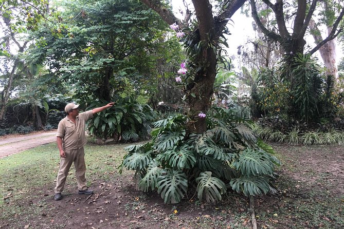 Coffee Farm Experience Private Day Tour - Is the $110 price good value?