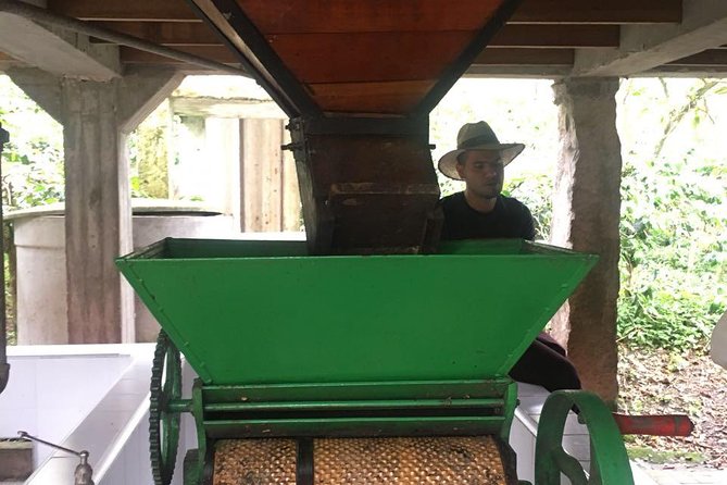 Coffee Farm Experience Private Day Tour - Who will enjoy this day most?