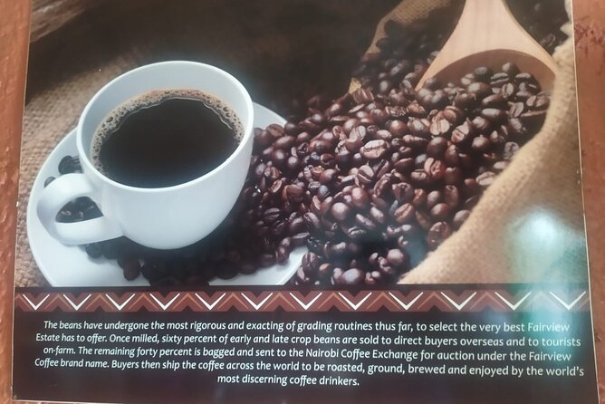 Coffee Farm Half-Day Tour in Kenya - Why the private format may be worth the price