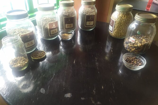 Coffee Farm Half-Day Tour in Kenya - Who will enjoy this half-day visit