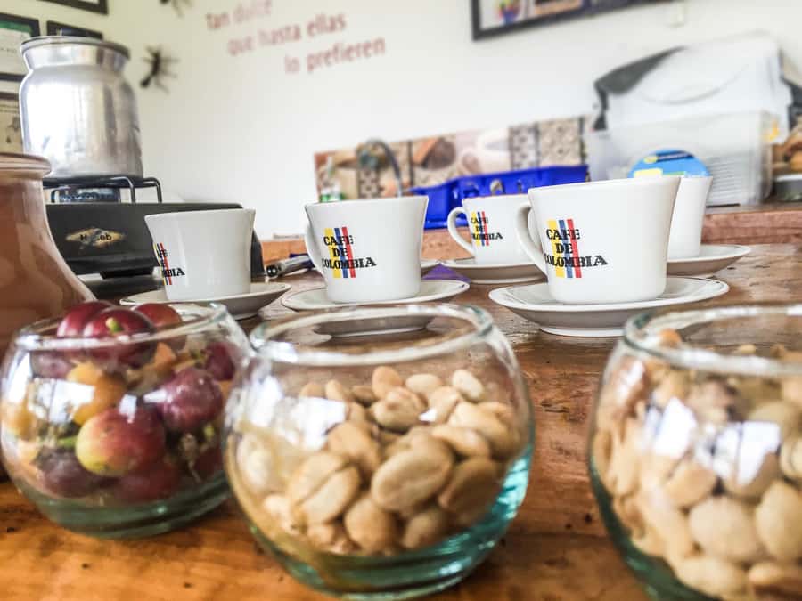 Coffee Farm Tour at Finca El Ocaso from Salento - Key points to know before booking