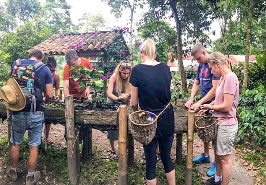 Coffee Farm Tour at Finca El Ocaso from Salento - Among the coffee plants and native flora