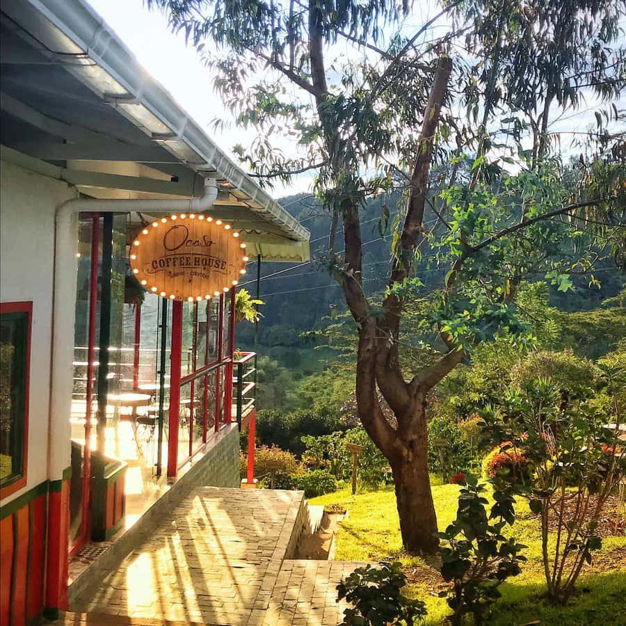 Coffee Farm Tour at Finca El Ocaso from Salento - From hand selection to roasted beans