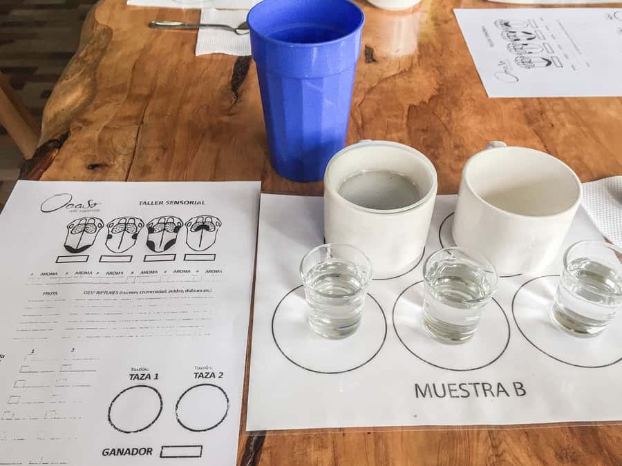 Coffee Farm Tour at Finca El Ocaso from Salento - A guided tasting with a purpose