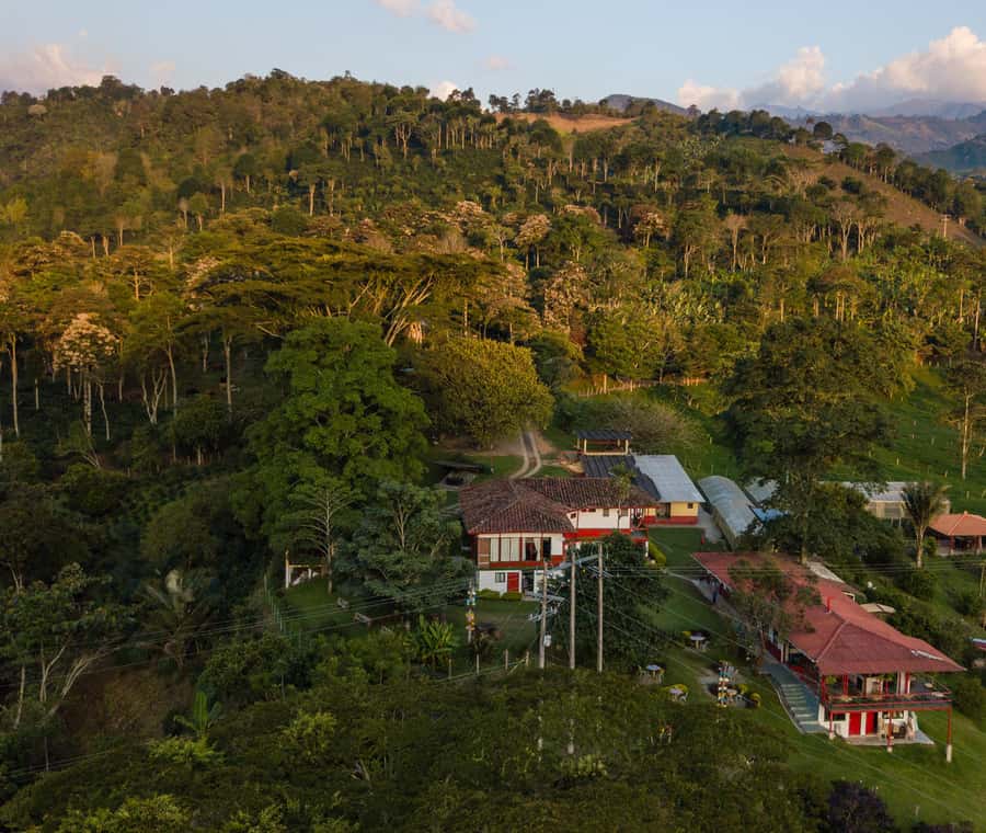 Coffee Farm Tour at Finca El Ocaso from Salento - Guide quality and group size