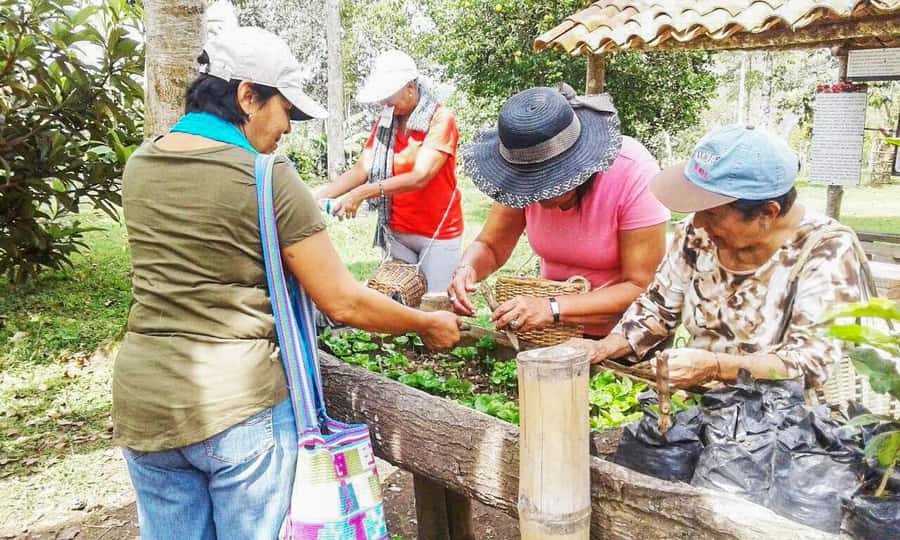 Coffee Farm Tour at Finca El Ocaso from Salento - What the $93 price buys you