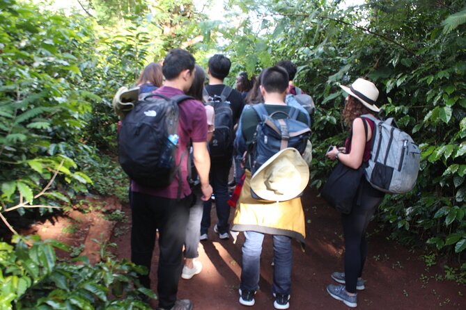 Coffee farm tour, coffee roasting and tasting experience - Freshly brewed coffee and simple refreshments
