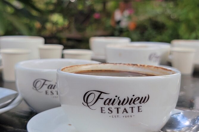 Coffee Farm Tour (Fairview) - From Nairobi to Fairview Estate in Kiambu
