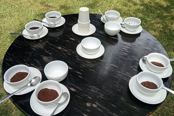 Coffee Farm Tour (Fairview) - The four-coffee tasting and blind test