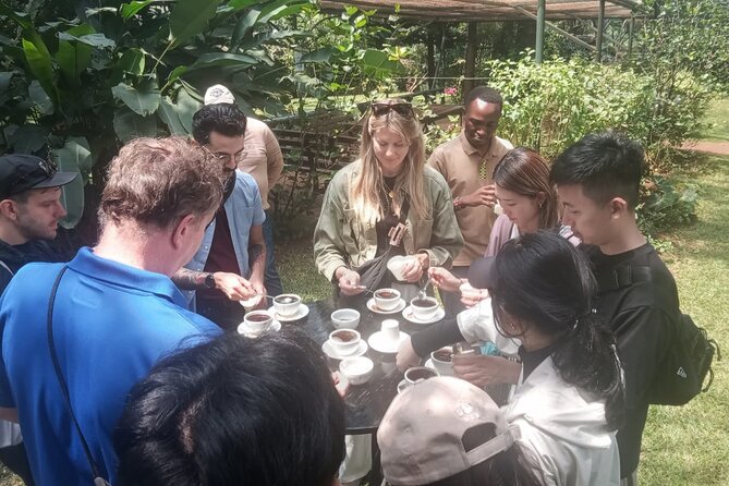 Coffee Farm Tour (Fairview) - Buying fresh coffee at the farm shop