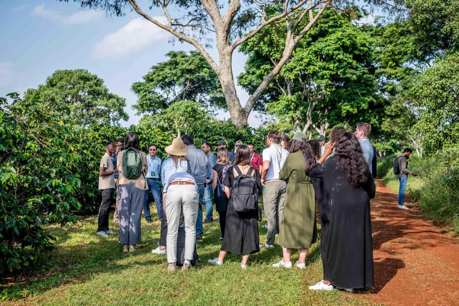 Coffee Farm Tour (Fairview) - Practical details for a smoother visit