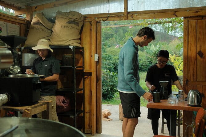Coffee Farm Tour with Roasting & Tasting Workshop - Da Lat - From Arabica plants to harvested cherries