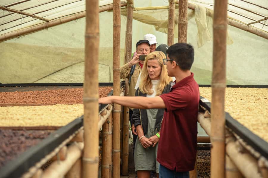 Coffee Tour Salento-Ocaso Farm- English Tour - From storage warehouse to coffee market